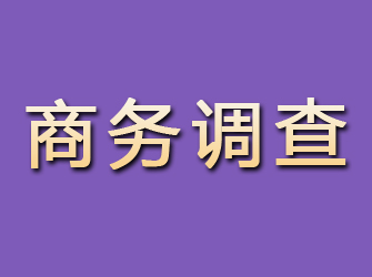 栾城商务调查